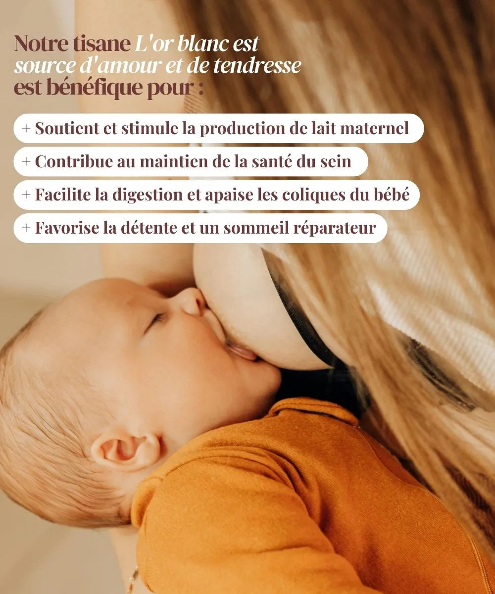 Tisane bio Allaitement - Près des Reines