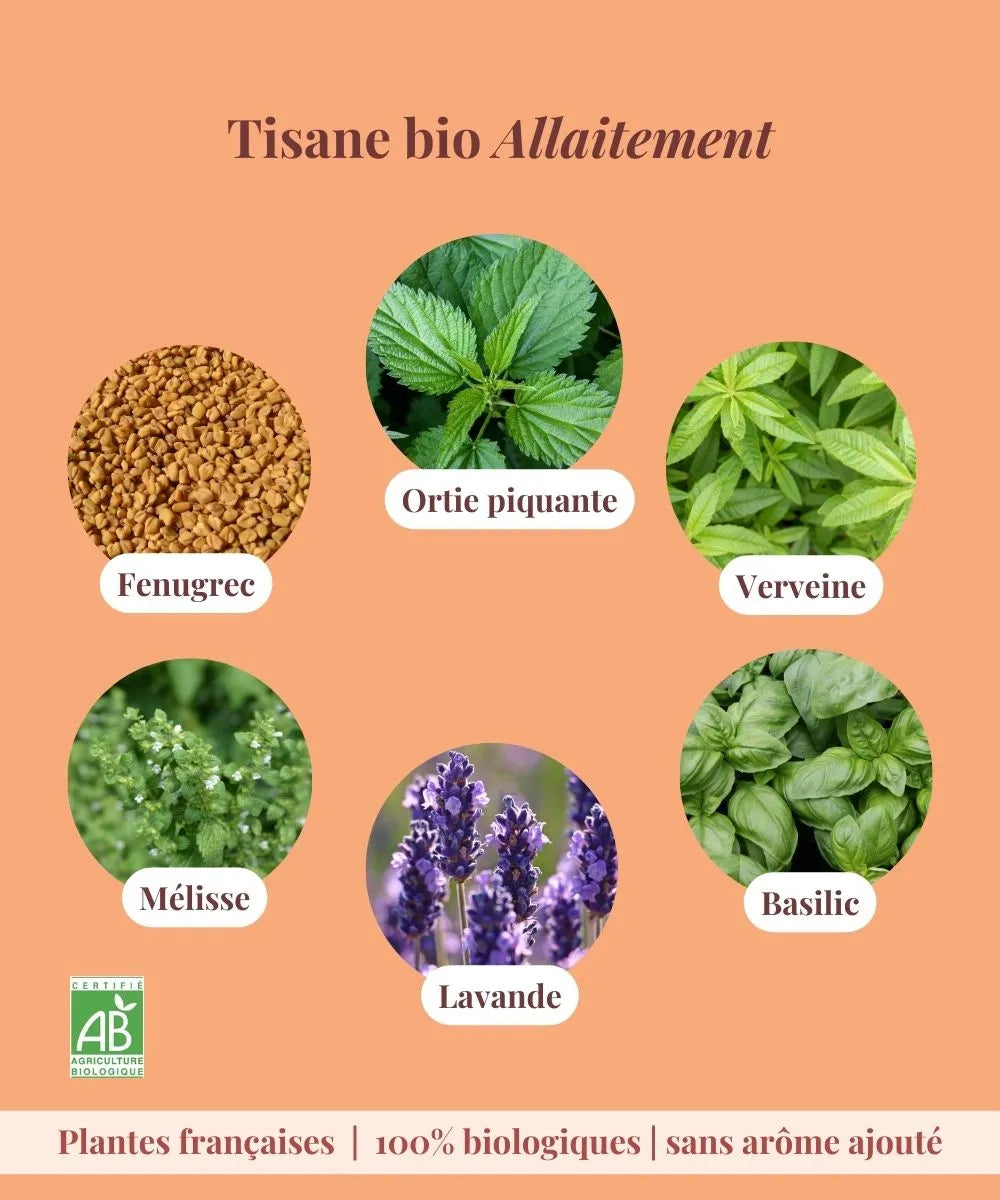 Tisane bio Allaitement - Près des Reines