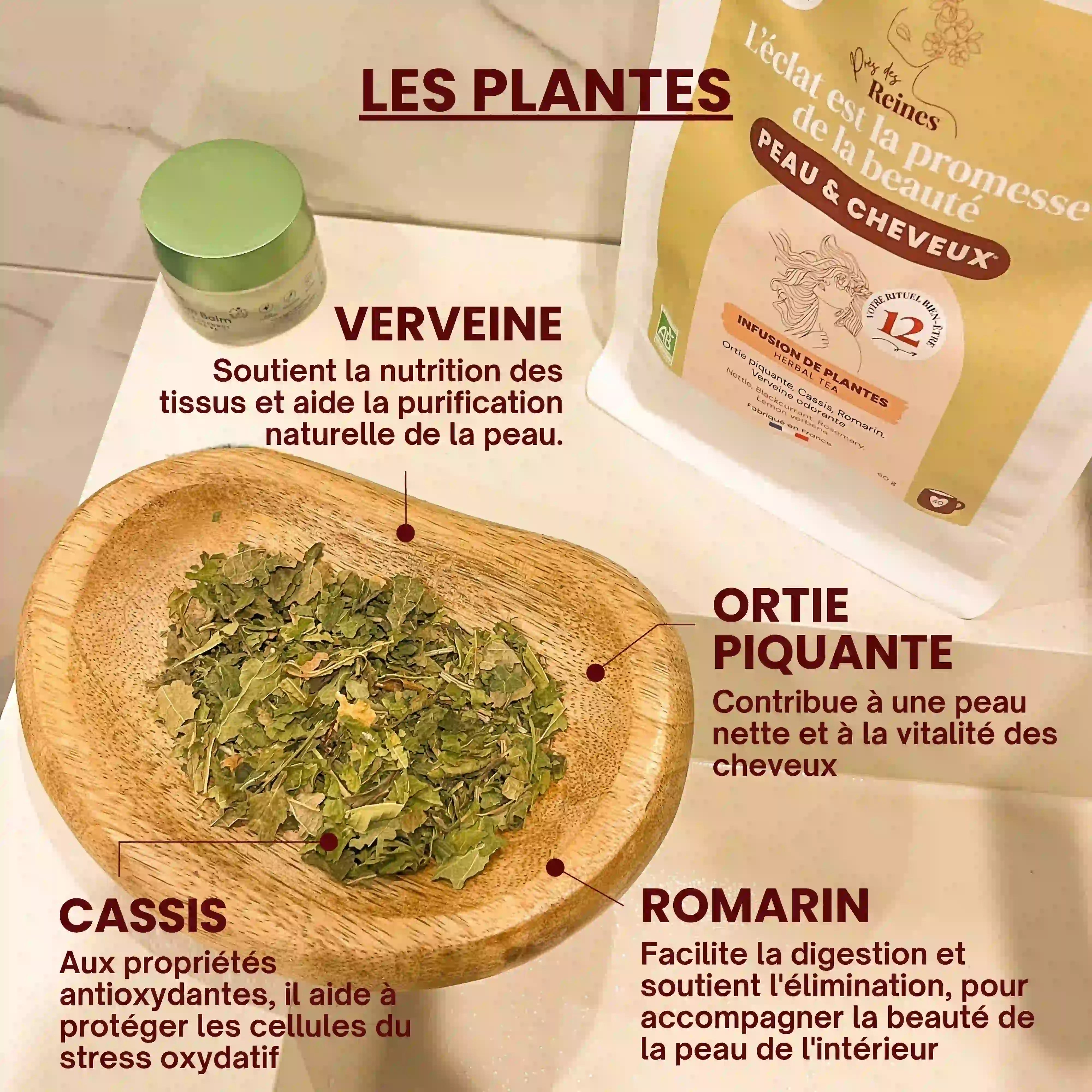 Tisane bio peau & cheveux - plantes