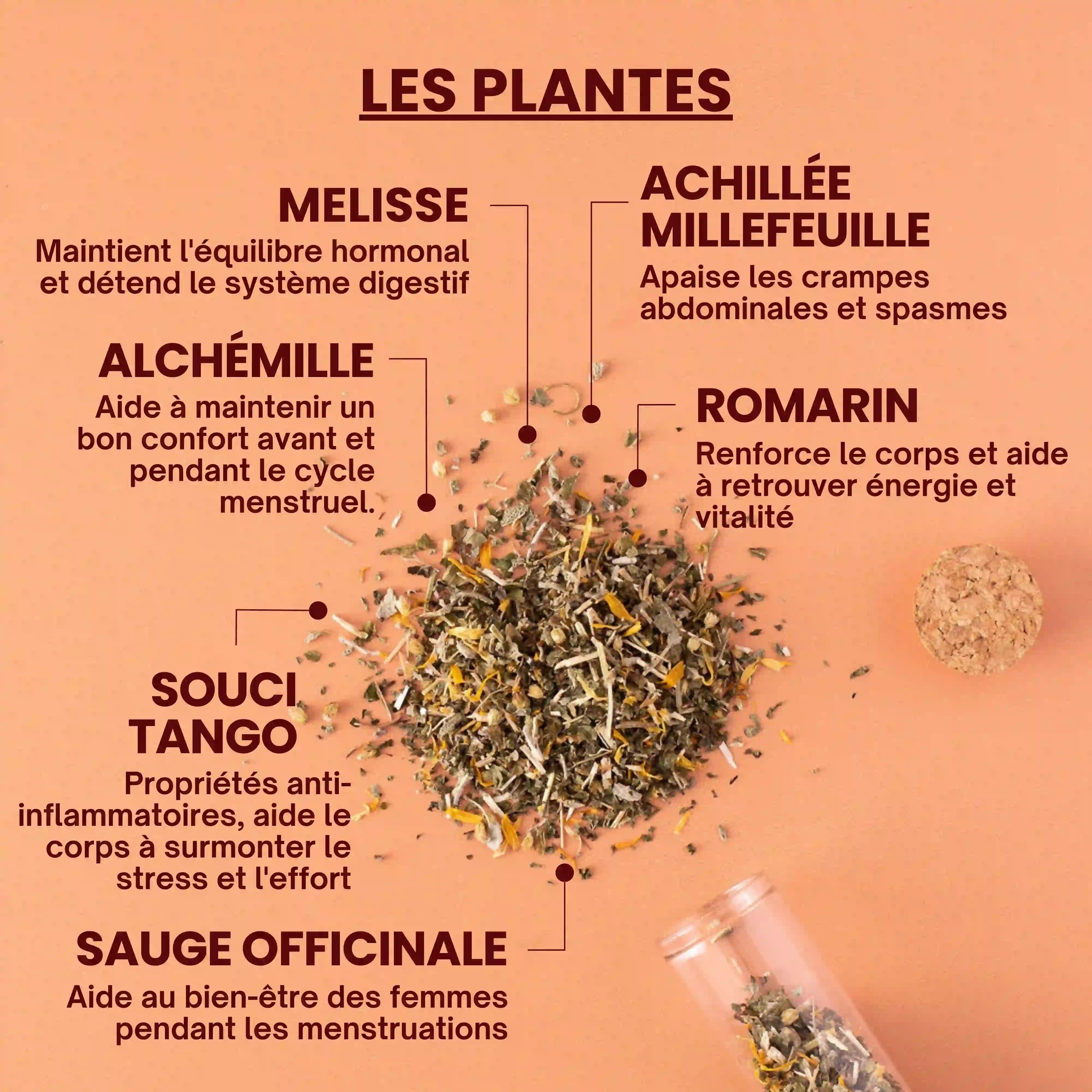 Infusion - Règles douloureuses - Plantes bio - Près des Reines