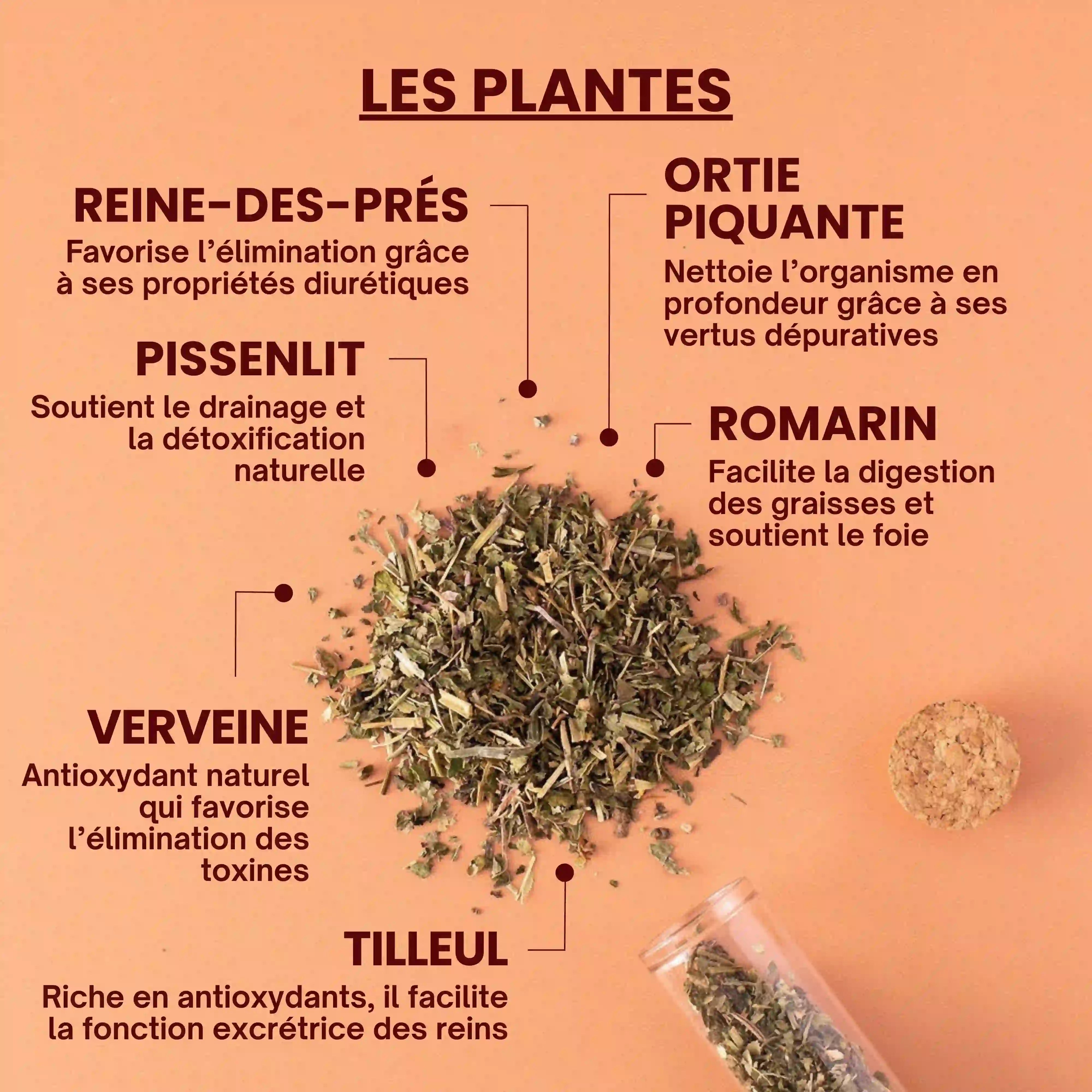 Tisane detox - plantes bio - Près des Reines