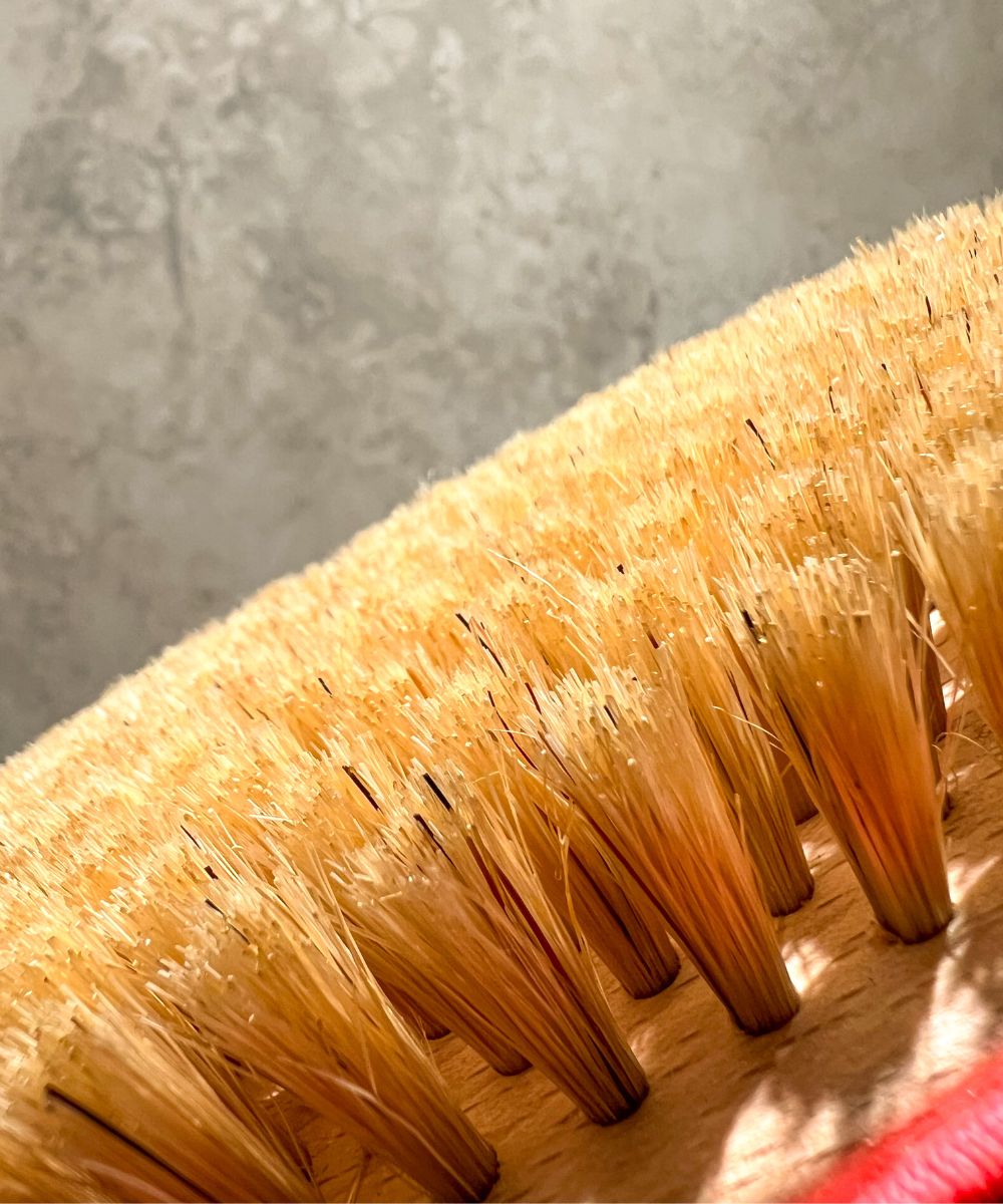 brosse de drainage lymphatique en soie blanche pres des reines