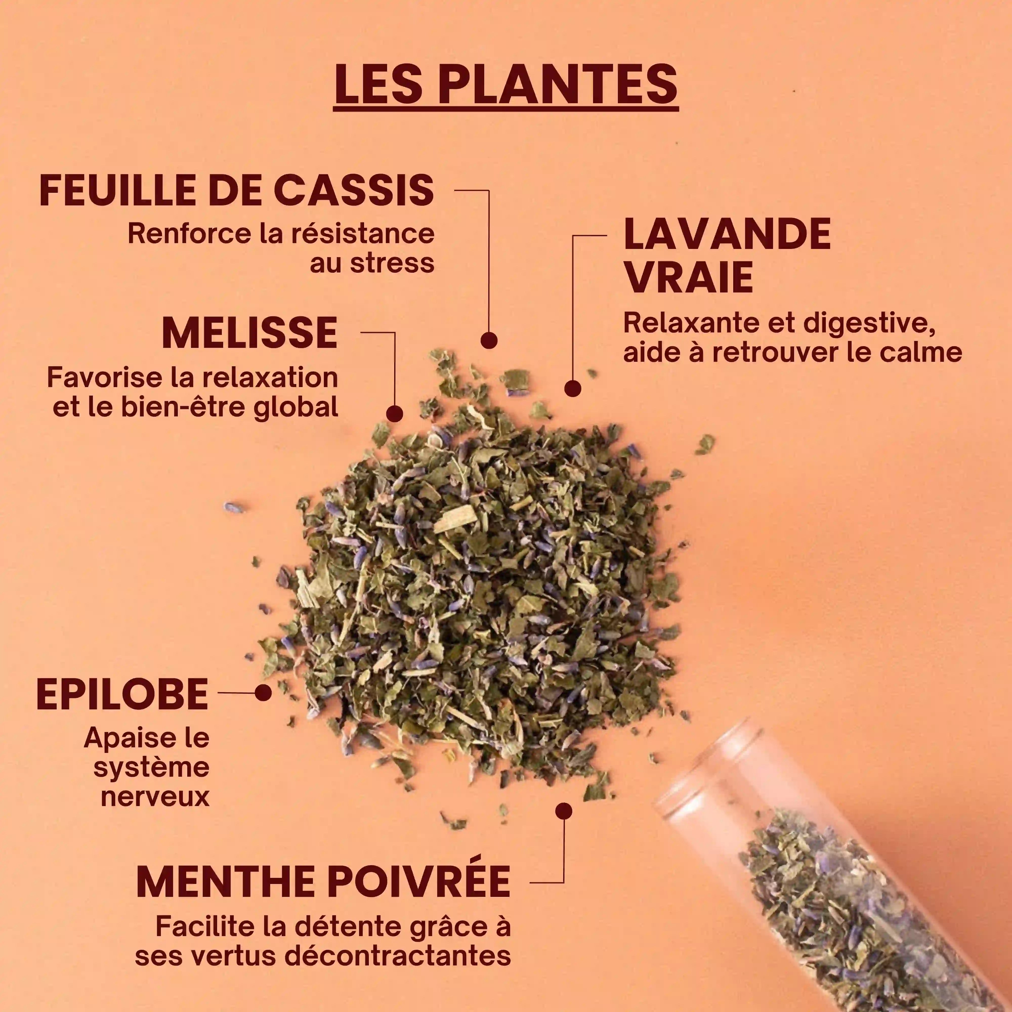 Bienfaits des plantes - près des Reines
