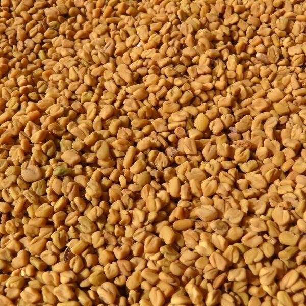 Les bienfaits du Fenugrec