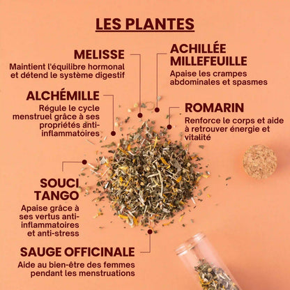 Infusion - Règles douloureuses - Plantes bio - Près des Reines