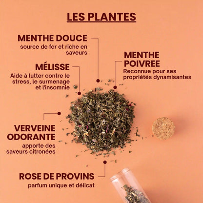 Tisane Entre amies - Plantes bio et françaises - Près des Reines
