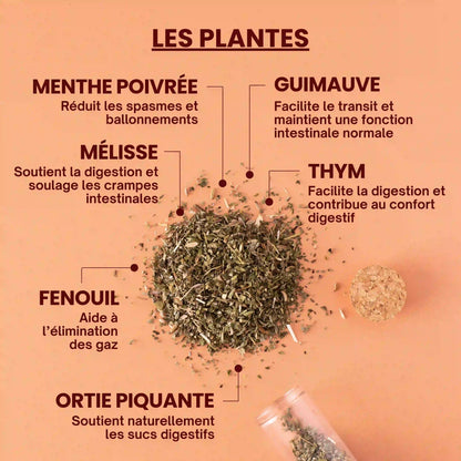 Infusion bio - anti-Ballonnements - plantes - Près des Reines