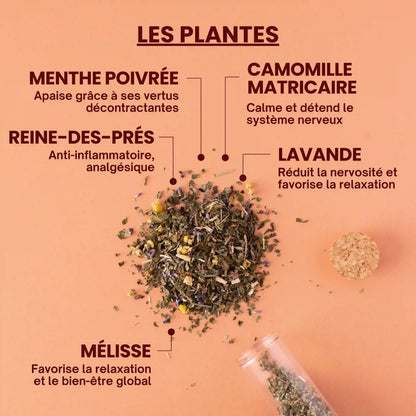 Tisane migraine - plantes bio - Près des Reines
