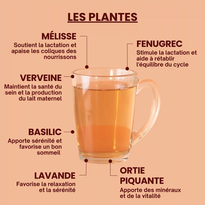 Tisane bio Allaitement - Plantes bio - Près des Reines