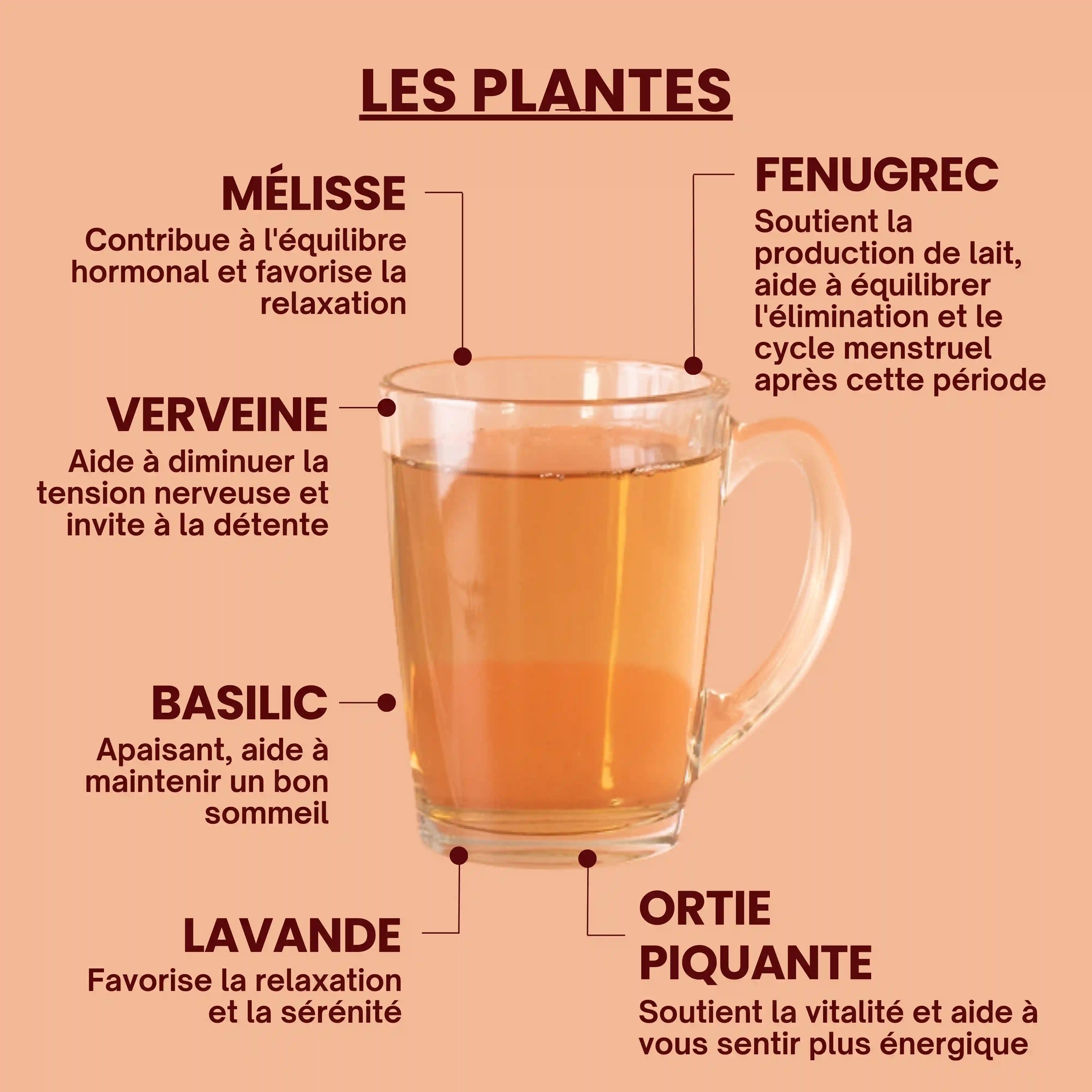 Tisane bio Allaitement - Plantes - Près des Reines