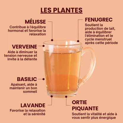 Tisane bio Allaitement - Plantes - Près des Reines