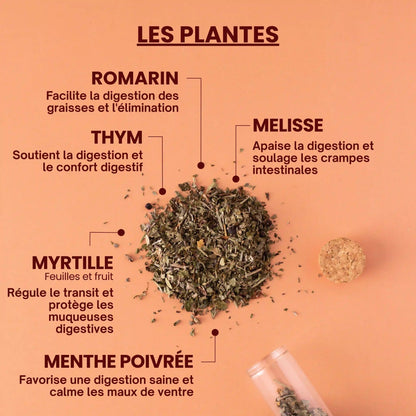 Tisane bio digestion - plantes Près des Reines