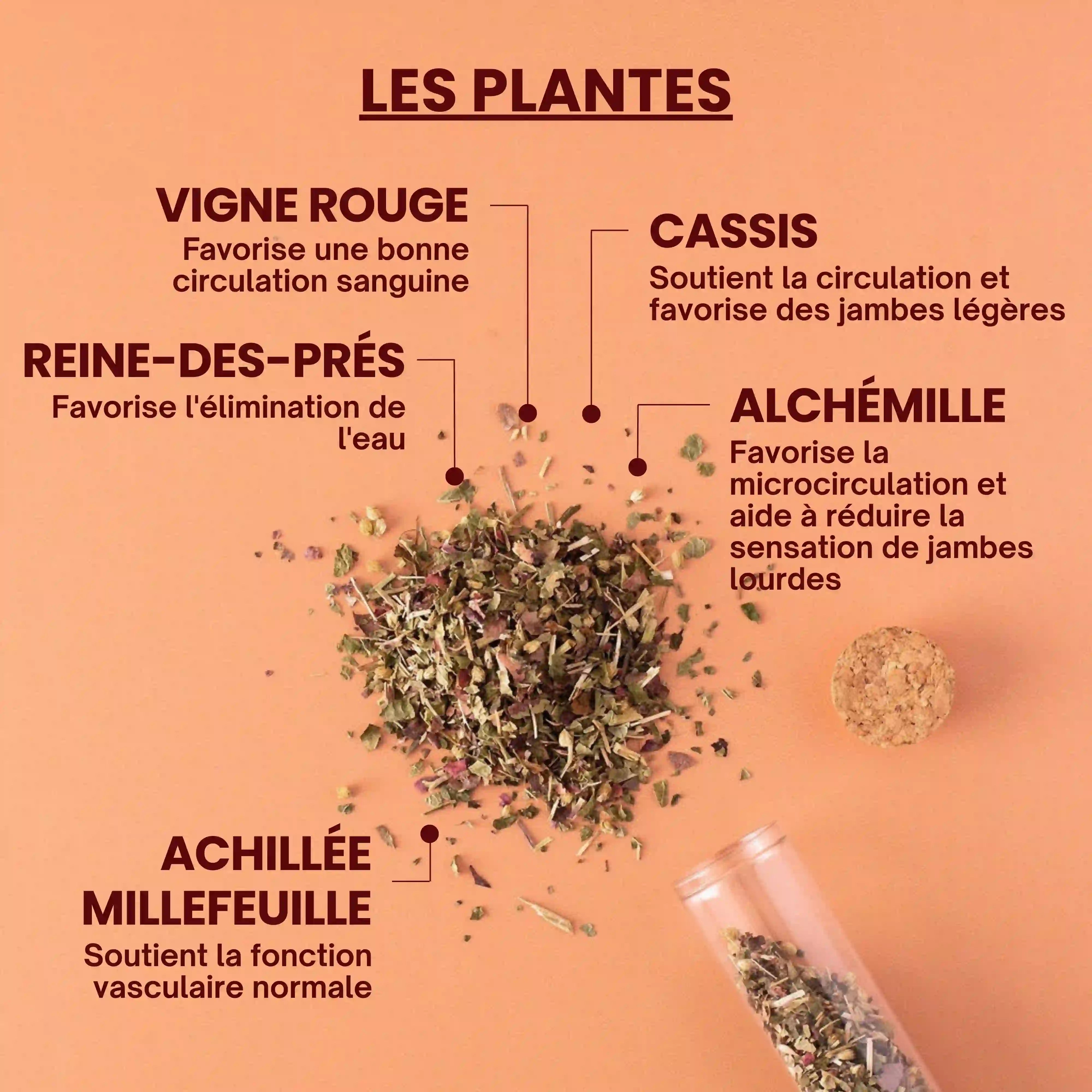 Tisane bio jambes légères - plantes - Près des Reines