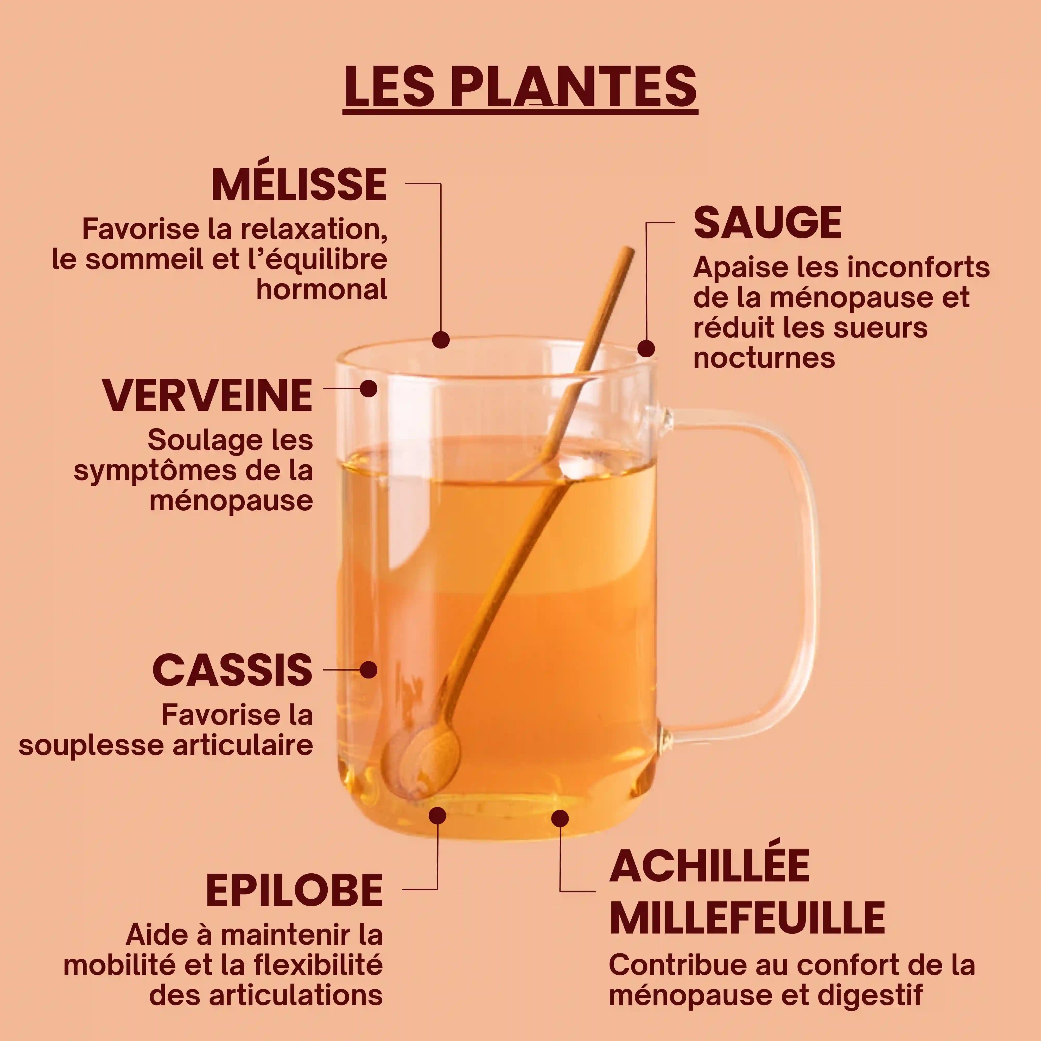 Tisane bio pour la ménopause - plantes - Près des Reines