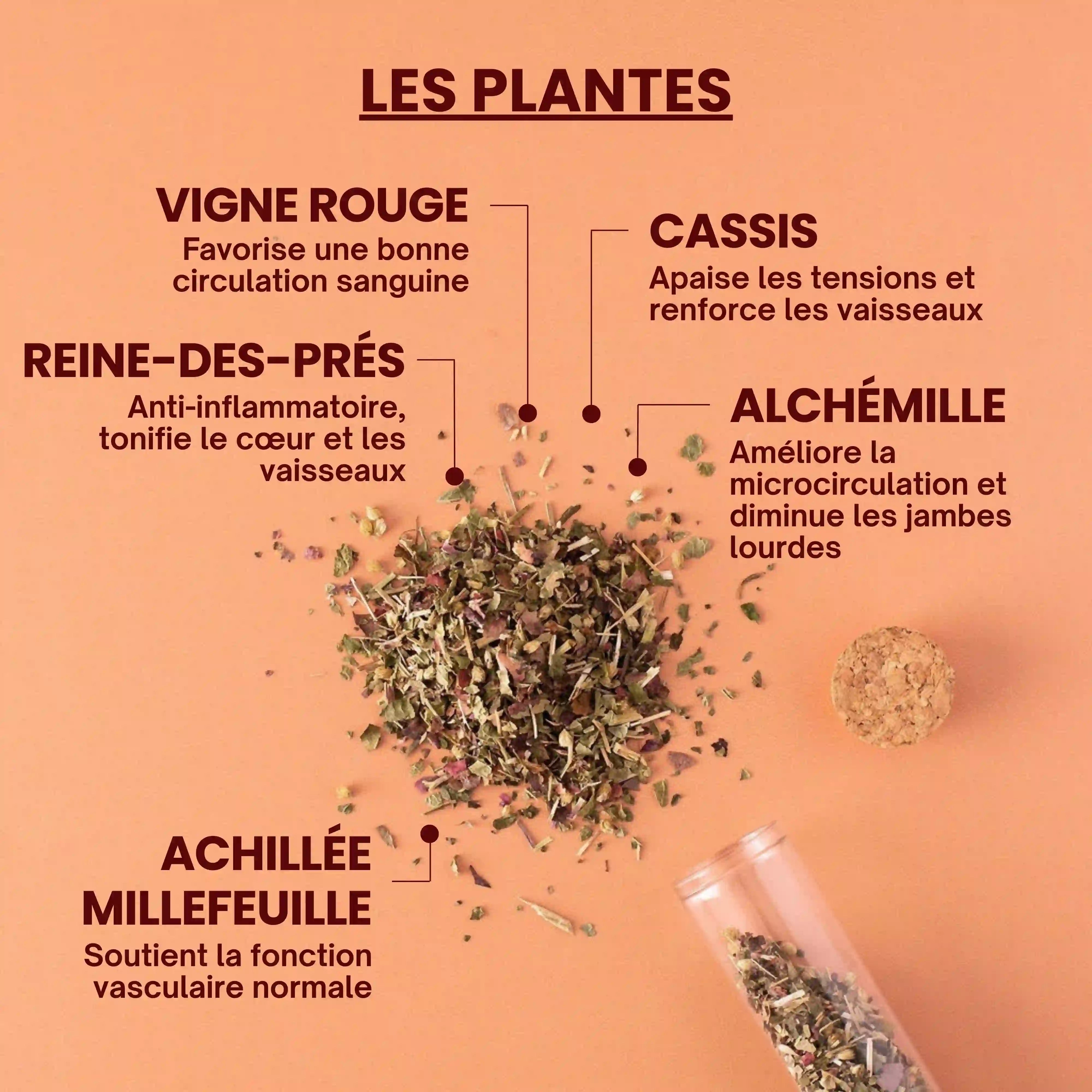 Tisane bio pour les jambes lourdes - plantes bio - Près des reines