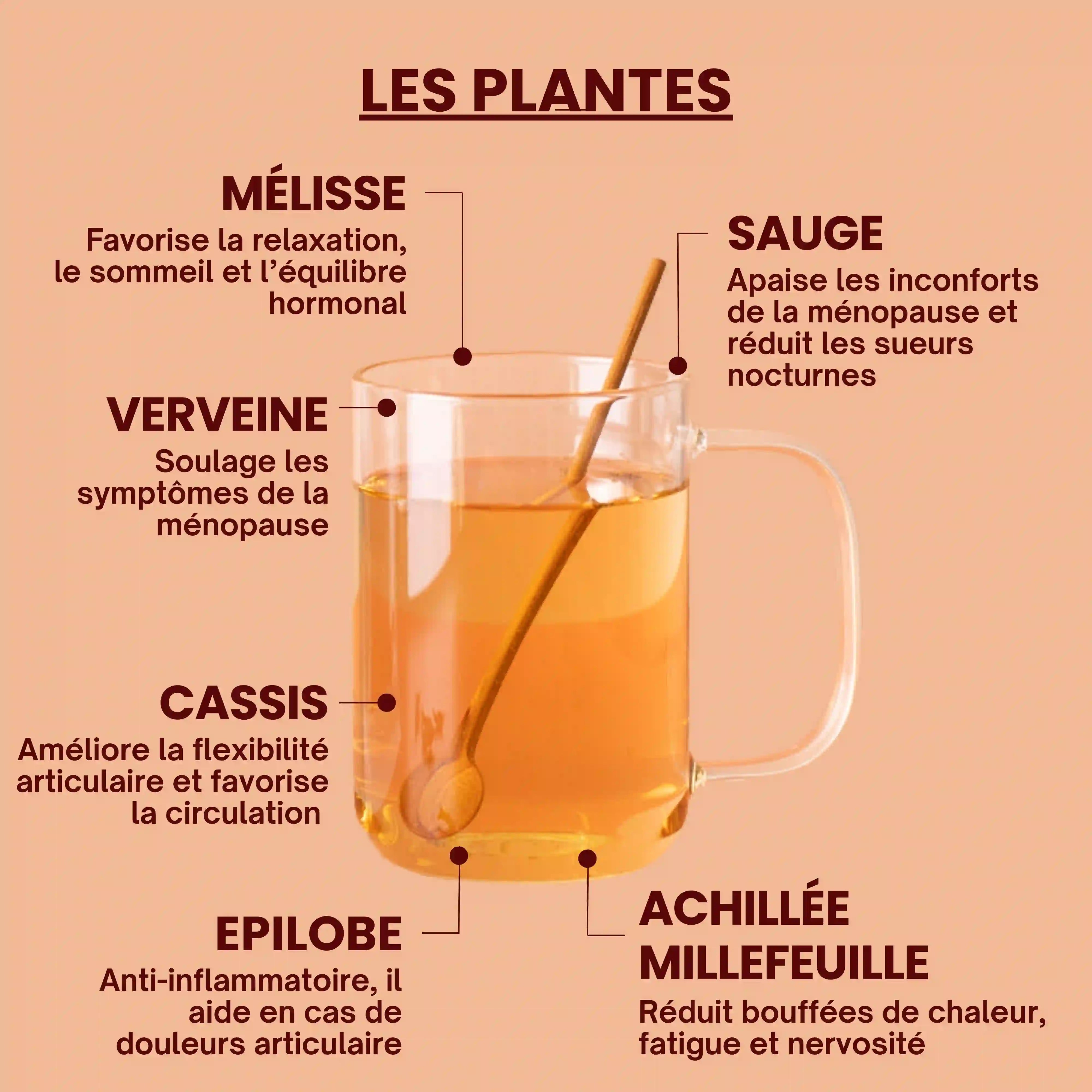 Tisane bio pour la ménopause - Plantes - Près des Reines