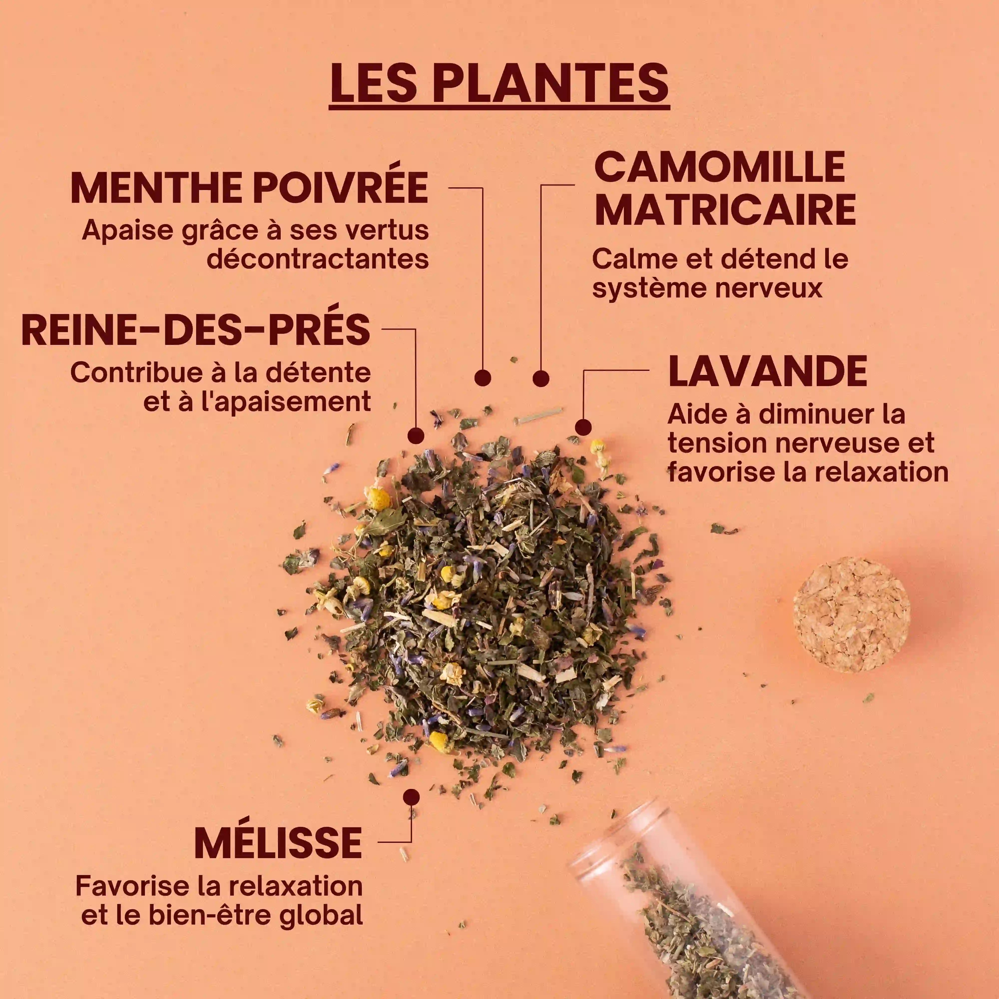Tisane migraine - plantes bio - Près des Reines