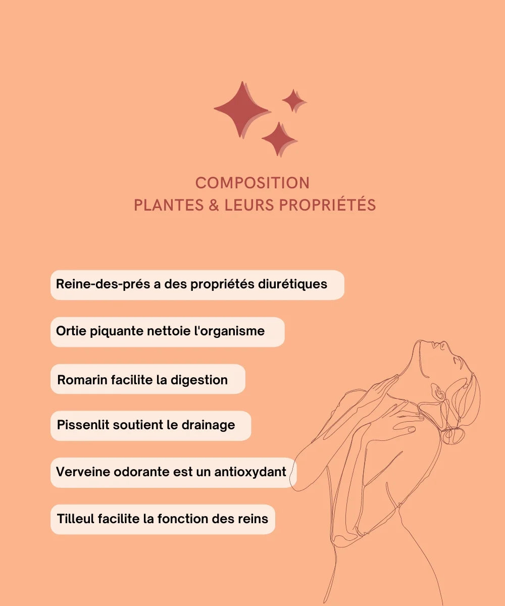 Infusion Détox vrac plantes françaises ⎸bio et équitable