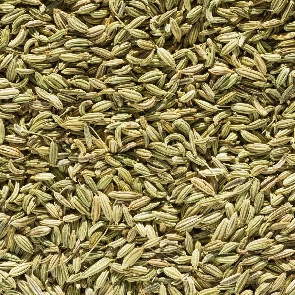 Fenouil
