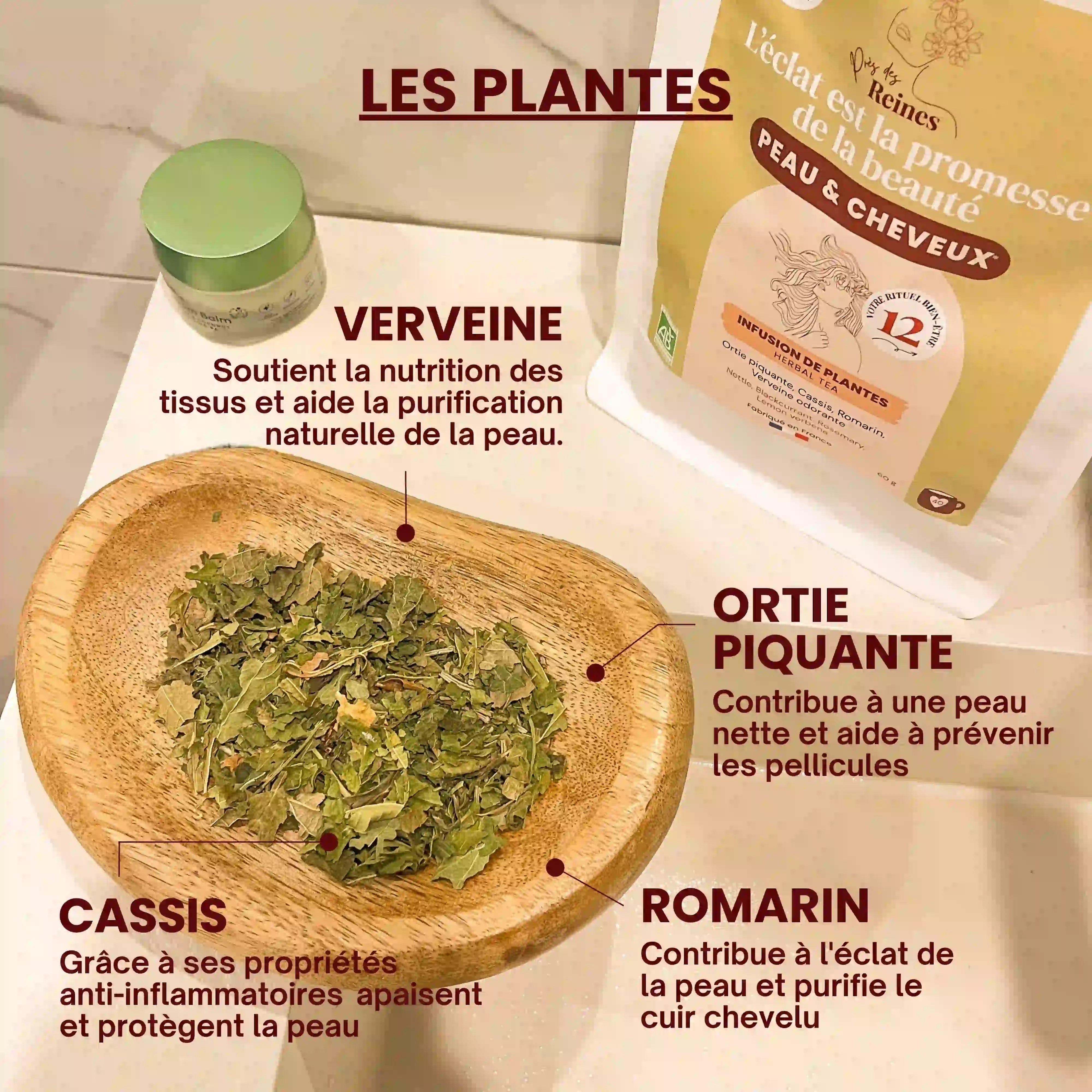 plantes de la Tisane bio pour peau et cheveux