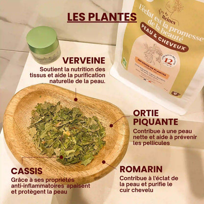 plantes de la Tisane bio pour peau et cheveux