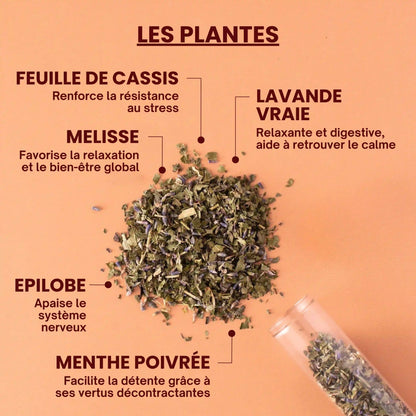 Bienfaits des plantes - près des Reines