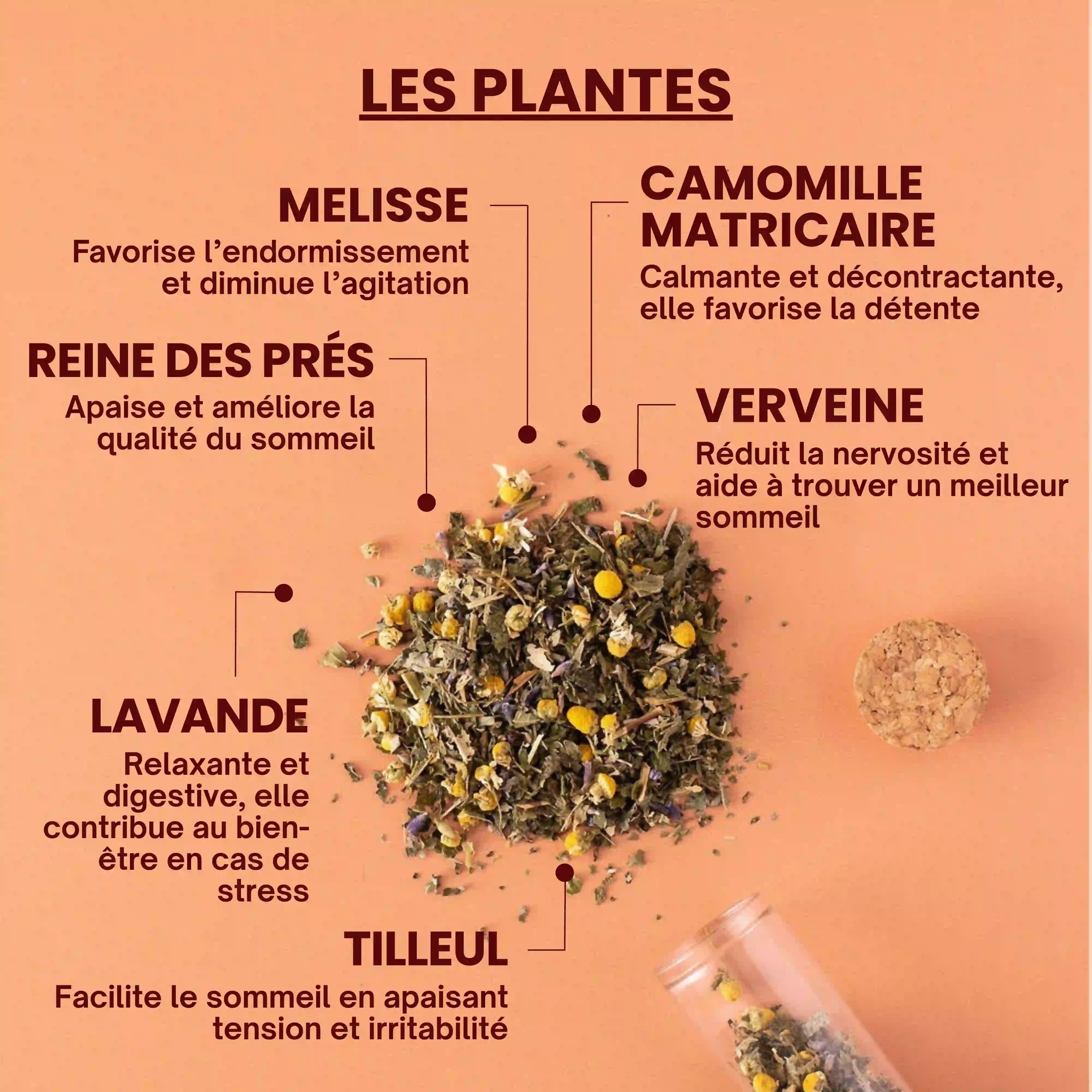Tisane nuit tranquille - plantes - Près des Reines